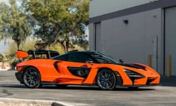 Senna thumbnail